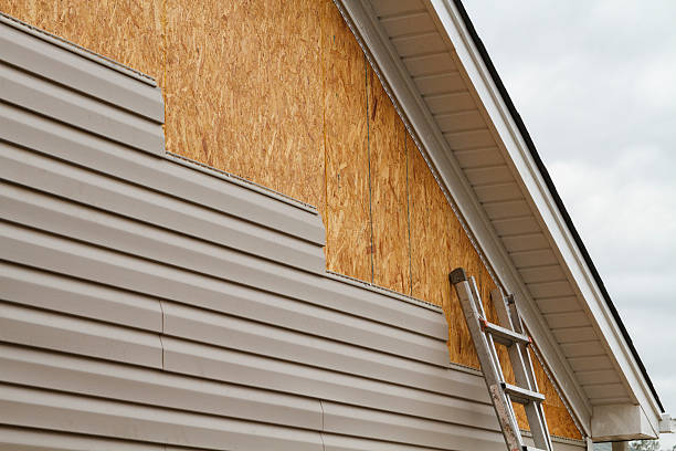 Professional Siding Repair technician working in New Brighton, MN